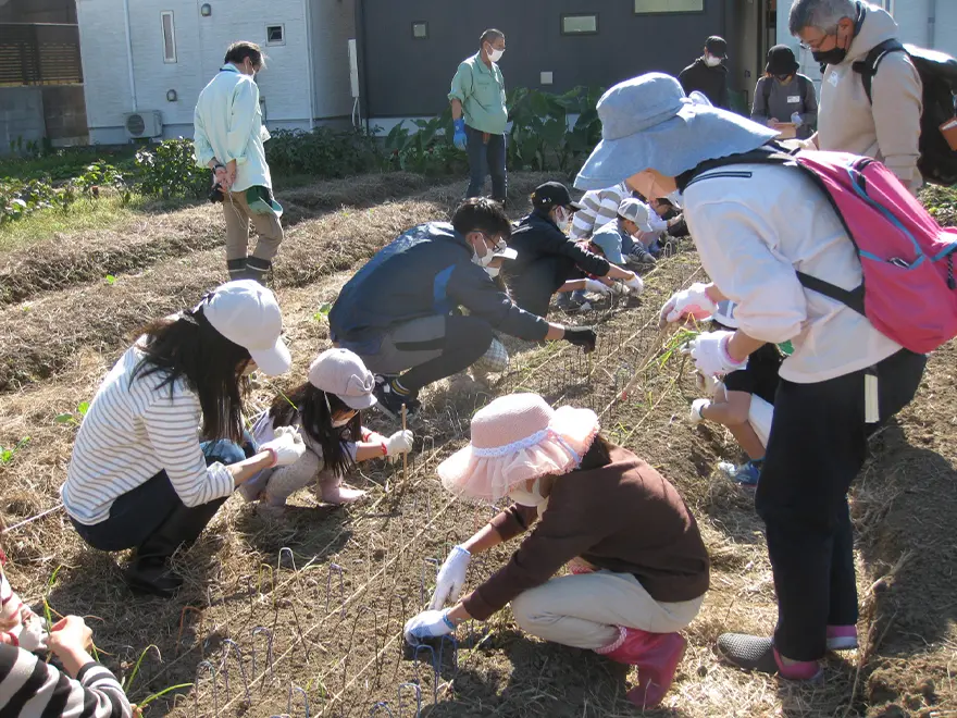 福祉交流農園　農業体験